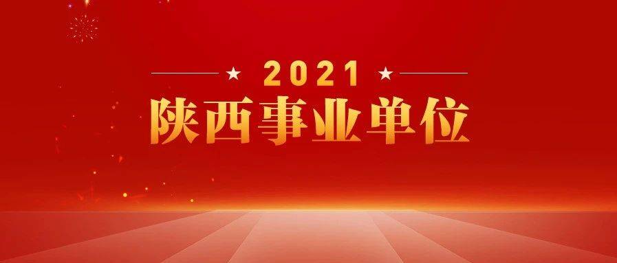 安康市招聘网最新招聘动态深度解析报告