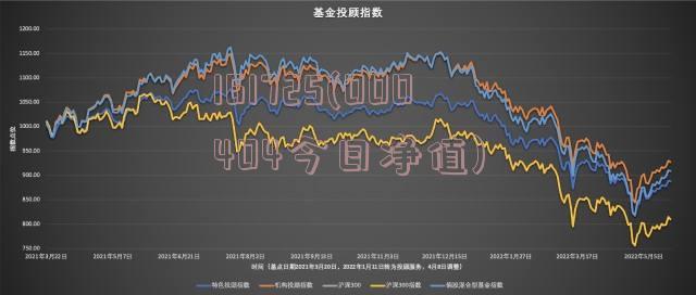 研究报告，今日最新基金净值分析——以基金代码161725为例